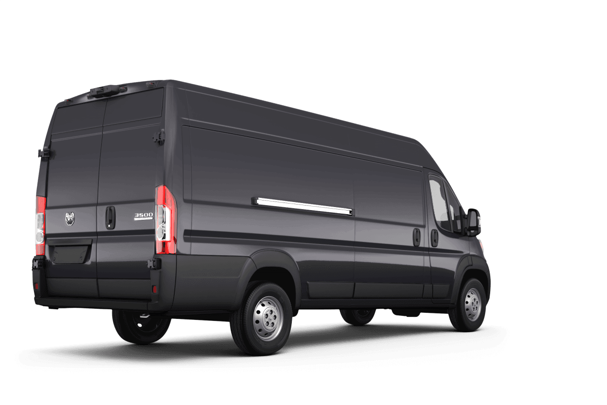 Ram false - Back view Ram false - Back view